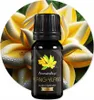 Ylang-Ylang-Öl Premium für Aromatherapie, 10ml Produktbild-Vorschau 16