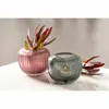 LEONARDO Bellagio Vase de table - Vase en verre de haute Voir les images du produit 6