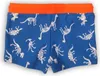 Minoti Badehose Dinosaurier 9-12 m 74-80 Produktbild-Vorschau 1