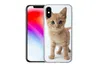 MuchoWow® Handyhülle Schutzhülle Hülle für iPhone X Katze - Produktbild-Vorschau 2