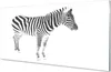 Glasbilder 100x50 Wandkunst painted Zebra Produktbild-Vorschau 1