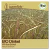 Samenliebe  Dinkel Samen | Winterdinkel - winterhart - Produktbild-Vorschau 1
