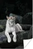 MuchoWow® Poster Löwe - Wildtiere - Porträt 40x60 cm - Produktbild-Vorschau 2