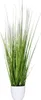 Pianta artificiale PAMPAS in plastica, verde, 15x80 cm Anteprima dell’immagine prodotto 1
