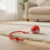 Interaktiver Katzenball Hundeball USB Spielball mit Seil Produktbild-Vorschau 2