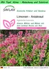 SAFLAX Garden to go - Limonen - Aniskraut - Agastache Produktbild-Vorschau 1