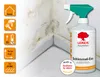 LEINOS 960 Schimmel-Exx 1,00 l Zum sicheren Entfernen von Produktbild-Vorschau 2