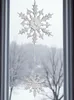 Two snowflake ornaments hang in a window with a snowy landscape visible outside. Produktbild-Vorschau