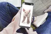 MuchoWow® Handyhülle Schutzhülle Hülle für Samsung Galaxy Produktbild-Vorschau 3