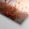 Bilder auf glas - Einteilig - Wiese Getreide Natur - Produktbild-Vorschau 5