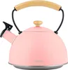 Briebe Pastel Kettle Bollitore a induzione da 2,3 l in Anteprima dell’immagine prodotto 1