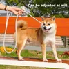 Robuste Schlupfleine für Hunde mit bequemem, gepolstertem Produktbild-Vorschau 7