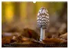 Kunstgalerie Wald - die verborgene Welt der Pilze Produktbild-Vorschau 4