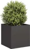 vidaXL Bac à plantes noir 40x40x40 cm Acier laminé à froid Voir les images du produit 2
