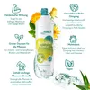 Blumendünger 1 Liter Produktbild-Vorschau 2