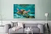 MuchoWow® - Leinwandbilder - Eine Schildkröte schwimmt Produktbild-Vorschau 2