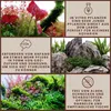 Aquarium Pflanze Eleocharis acicularis 'Mini' Tropica Produktbild-Vorschau 3