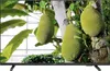 A television screen displaying an image of jackfruit on a tree. Náhled obrázku produktu