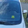 Was guckst du Parkscheibe mit lustigem Alpaka Produktbild-Vorschau 4