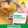 Neudorff Homöopathisches Orchideen-Elixier 500 ml Produktbild-Vorschau 6