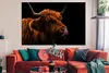MuchoWow® Poster Schottischer Highlander - Zunge - Nase Produktbild-Vorschau 2