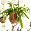 BioCoco Pot Vaso in cocco per orchidee epifite Anteprima dell’immagine prodotto 2