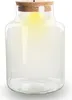 terrarium Flasche Geschlossene glasflasche met Korken en Productafbeelding-voorbeeld 1
