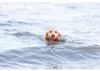 TRIXIE Aqua Toy Leuchtturm am Seil - 26 cm Produktbild-Vorschau 5