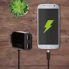 A smartphone is charging from a LogiLink USB adapter plugged into a wooden surface, with a succulent plant in the background. Anteprima dell’immagine prodotto