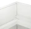 vidaXL Pot de jardin blanc, 200 x 40 x 60 cm, en acier Voir les images du produit 5