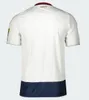 Adidas HSV Hamburg Sondertrikot Sturm & Glanz 1887 Produktbild-Vorschau 2
