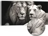 DEQOART Hybrid Leinwand Bild 60x30 cm 'Königliches Duo' Produktbild-Vorschau 1