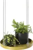 Esschert Design PY113, 240 mm, 240 mm, 21 mm, 1 Stück(e) Produktbild-Vorschau 3
