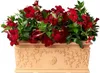 BAMA Truhlík, VITE 80 cm, terracotta Náhled obrázku produktu 5