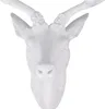 Hirschgeweih Hirschkopf Geweih 10-Ender Weiß 14x16x30cm Figur Skulptur Produktbild-Vorschau