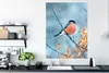 MuchoWow® Poster Rotkehlchen - Vogel - Schnee - Herbstliche Produktbild-Vorschau 3