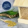A wooden bird feeder filled with birdseed, with a scoop of barley in the foreground and decorative grass and a branch. Produktbild-Vorschau