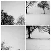 Bilder auf glas - Einteilig - Winter Bäume Schnee - 70x70cm Produktbild-Vorschau 8