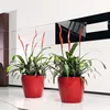 Two red planters with bromeliad plants inside, placed on a white floor in front of a white wall with a black and white decorative element. Voir les images du produit