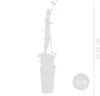 Bloomique - 2er-Set - Hedera Helix - Kleinblättriger Efeu - Produktbild-Vorschau 8