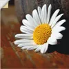 ARTland Wandbild, selbstklebend Margeriten Stillleben Produktbild-Vorschau 1