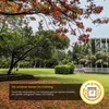 Semi da prato EcoDeco 5 kg per 200 m² - Semina autunnale Anteprima dell’immagine prodotto 5
