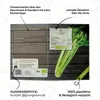 Selleriesamen (Tall Utah, 250 Korn) - Staudensellerie Produktbild-Vorschau 5