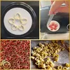 A collage of images showing the process and results of making pasta with a pasta maker. Produktbild-Vorschau