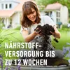 SANA Terreau pour plantes vertes et palmiers Voir les images du produit 6