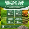 DÜNGEMEISTER Rasendünger für Ihren sattgrünsten Traumrasen Produktbild-Vorschau 6