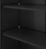 A close-up view of the interior of a black metal cabinet, showing two shelves and the vertical support rails. Voir les images du produit