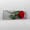 Bild auf Leinwand - Leinwandbild - Blume Holz Pflanze - Produktbild-Vorschau 4