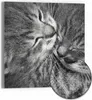 DEQORI Hybrid Leinwand Bild 50x50 cm 'Sanfte Träume' Produktbild-Vorschau 1