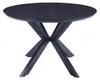 HOME DELUXE Esstisch Oval AVENTIS inkl. Sternfuß - 200 x Produktbild-Vorschau 3